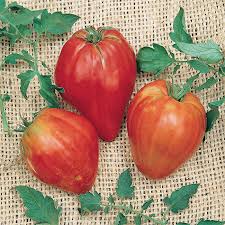 Afbeeldingsresultaat voor butter and bull heart tomato