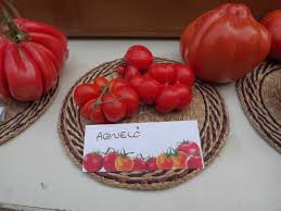 Afbeeldingsresultaat voor voyage tomato