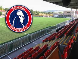 Image result for Dorking Wanderers F C