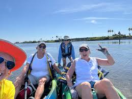 Image result for York Canoe Club