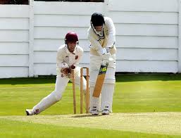 Image result for Methley Cricket Club