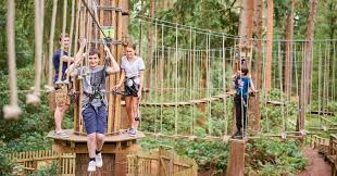 Image result for Go Ape! Thetford