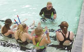 Image result for Dolphin Sub Aqua