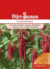 Image result for Fuchsschwanz