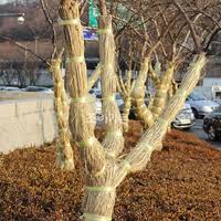 Image result for 붶