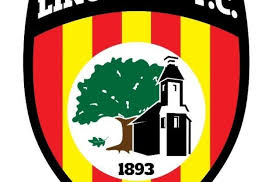 Image result for Lingfield Cricket Club