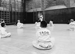 Image result for Leighton Buzzard Tae Kwon-Do Club