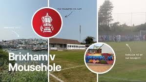 Image result for Brixham Cricket Club