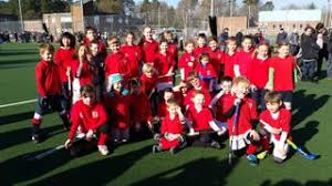 Image result for Yateley Cricket & Hockey Association