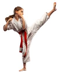 Image result for INTERNATIONAL HAPKIDO TAMWORTH