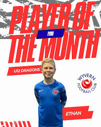 Image result for Wyvern Dragons Junior Badminton Club