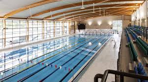 Image result for Mid Beds Swim Squad