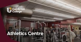 Image result for Cambrian Centre for Activity