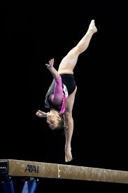 Image result for Elite Recreational Gymnastics Club