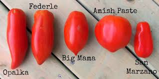 Afbeeldingsresultaat voor amish paste tomato