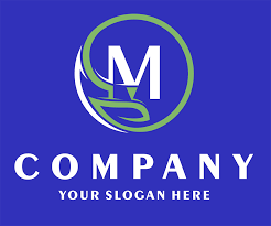 Image result for Surrey Heath Slammers