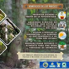 「parque los chor」の画像検索結果