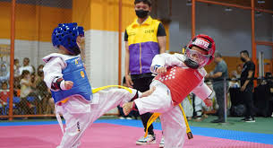 Image result for Full Element Mixed Martial Arts