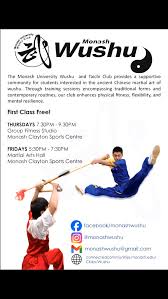 Image result for Wushu Tai Chi Club