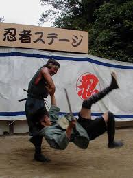 Image result for Hertfordshire Iga Ryu Ninjutsu