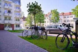 Image result for cesarskie