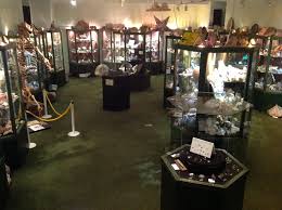 Image result for Newton Stewart Indoor Bowls Club