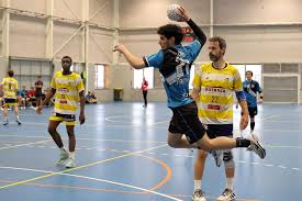 Image result for Southend handball club
