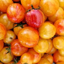 Afbeeldingsresultaat voor oranje van goeienbier tomato