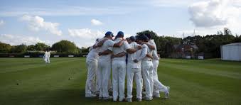 Image result for Bere Regis Cricket Club