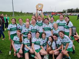 Image result for Wolfe Tones Gaelic Athletic Club