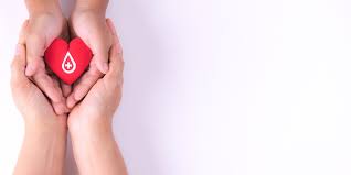 Image result for blood