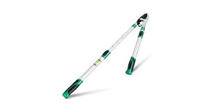 Attēlu rezultāti vaicājumam “Lopinga achine upperside”