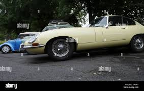 Image result for Turmeric Yellow 1979 Jaguar