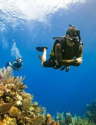 Image result for Divemaster Scuba