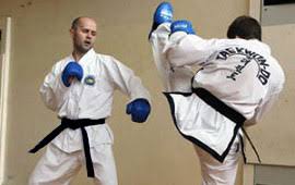 Image result for Addlestone Shotokan Karate Club