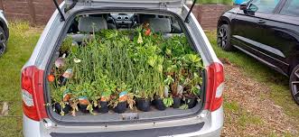 Image result for Lytchett Manor Smbc