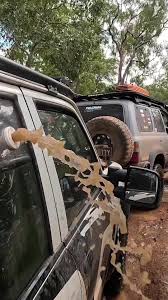 Image result for poi%FCretan yedek tekerlek