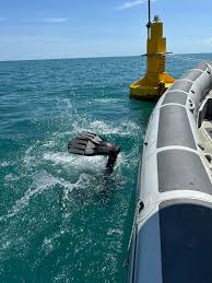 Image result for Droylsden Sub Aqua Club