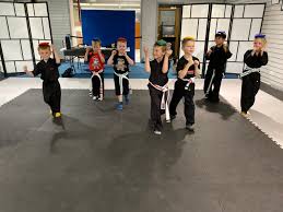 Image result for NEMESIS MARTIAL ARTS & FITNESS