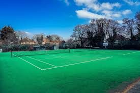 Image result for Chelmsford Casuals Badminton Club