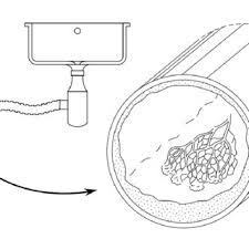Attēlu rezultāti vaicājumam “Badhamia lilacina plasmodium”