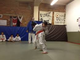 Image result for Sandokai Karate