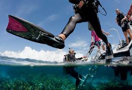 Image result for Exe To Sea Diving