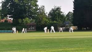 Image result for Henley Cricket Club