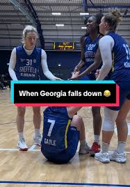 Image result for Sheffield Hatters Basketball Club