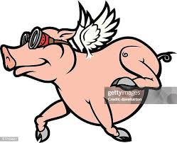 Image result for flying pigs