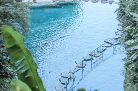 「parque los chor」の画像検索結果