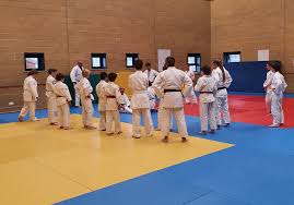 Image result for Comberton Judo Club