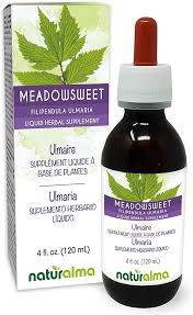 Attēlu rezultāti vaicājumam “Filipendula ulmaria”