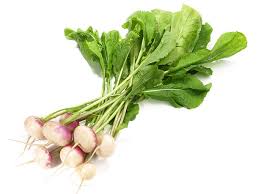 Image result for Radieschen